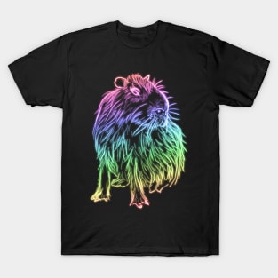 Rainbow neon capybara T-Shirt